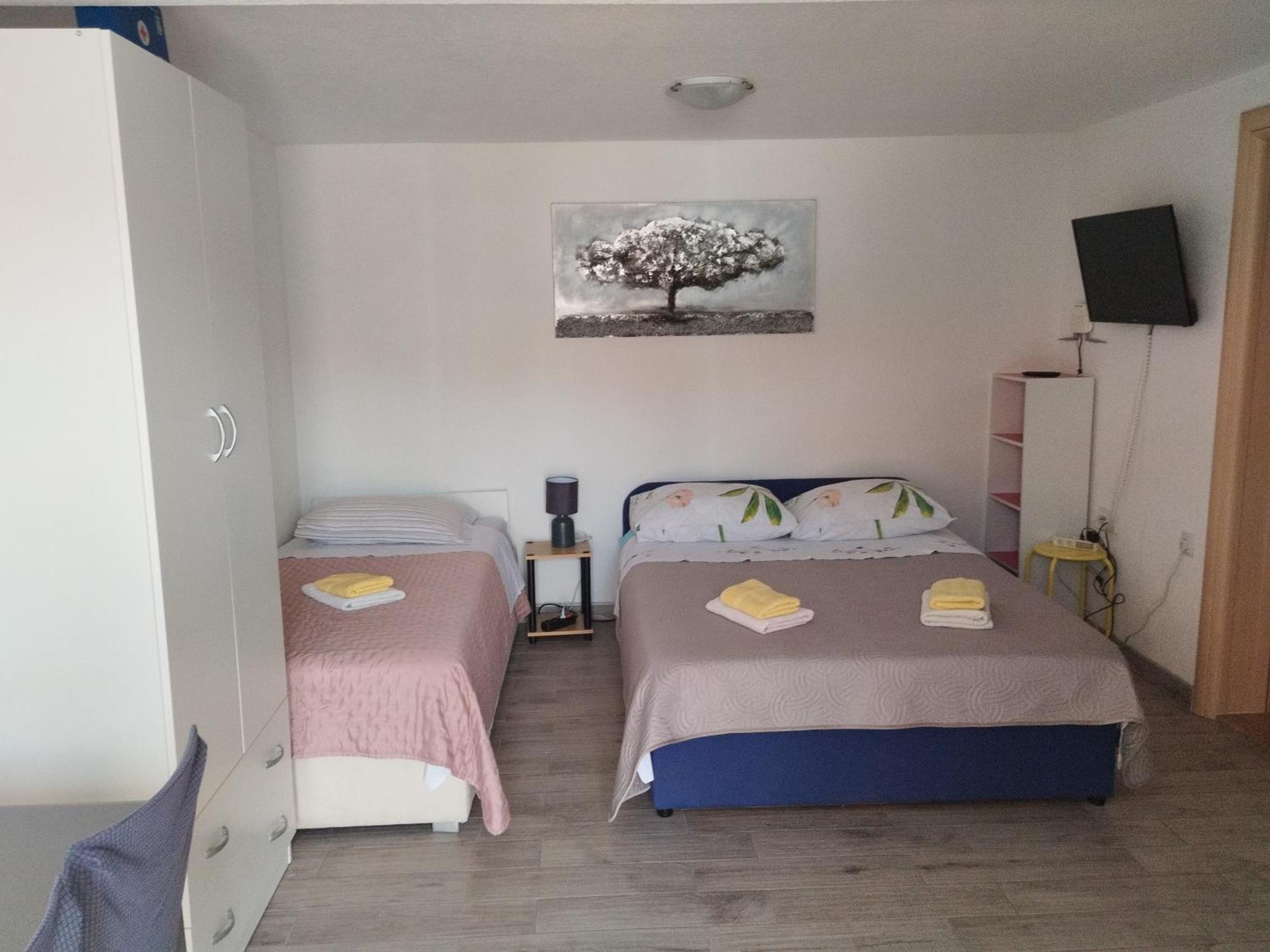 Tina Trogir